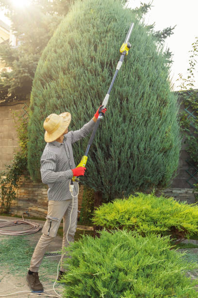 Why Choose Our Tree Removal Services in Warm Springs, OR?